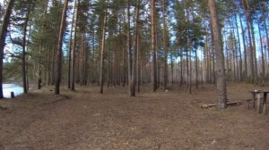 Долгожданная встреча в лесной избушке!!!