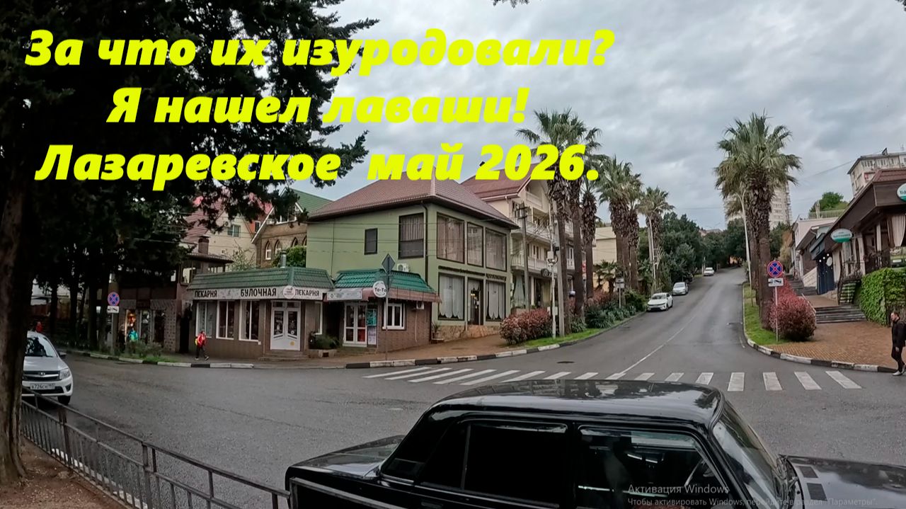 За что их изуродовали! Я нашел лаваши! Лазаревское 03.05.2026