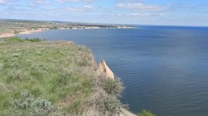 Синее лбище Саратов