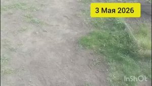 Влог 3 Мая 2026 Наш огород косим траву Алтайский край
