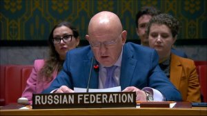 Permanent Representative V.Nebenzia at a UNSC Briefing on the Korean Peninsula, April 30, 2026