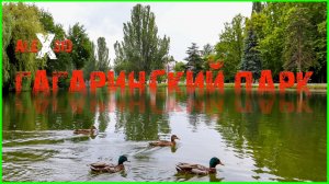 Столица Крыма / Что натворили в Гагаринском парке