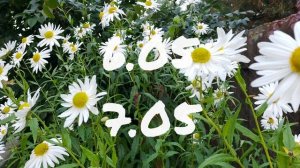 Лунный Календарь Комнатного Цветовода с4.05-10.05.26г.