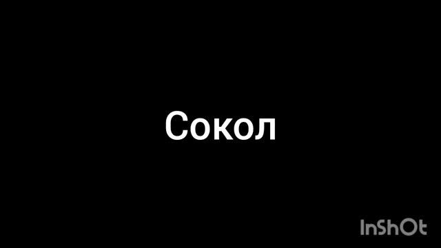 сокол смотреть онлайн