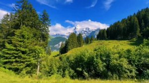Самые красивые места Швейцарии весной 🌸 Захватывающие виды
