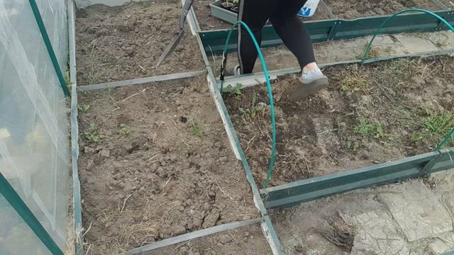 ОТКРЫЛА ОГОРОДНЫЙ СЕЗОН
