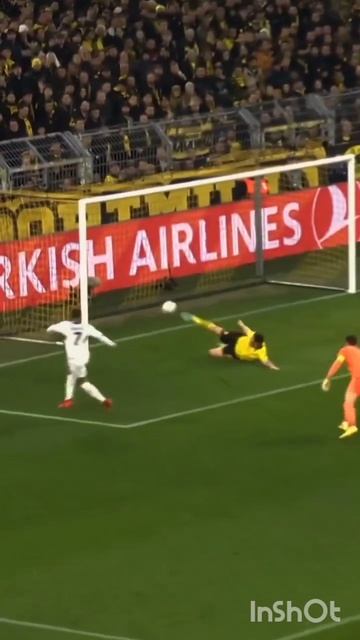 Спорт