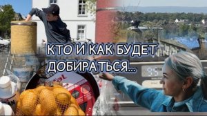 Занялась воспитанием детей 😬 покупки 🛒 Уборка 🧹обед 🥗 куда меня занесло ✔️открыл сезон ✔️