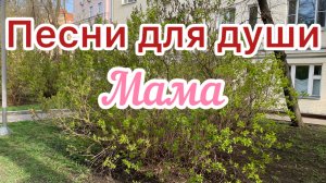 Песни для души. «Мама».