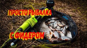 Просто рыбалка с фидером