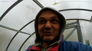 Зажёг серную шашку в теплице.