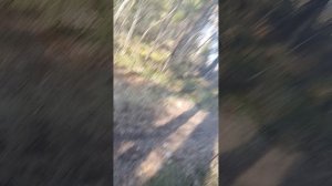 Американские горки