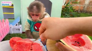 Smart BiBi harvests fruit to make fruit yogurt
