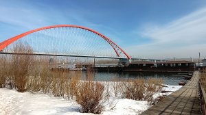 Весеннее пробуждение/ Бугринская Роща/ Новосибирск 04.04.2026🙂↕️