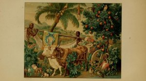 DICTIONNAIRE DE L'ART, DE LA CURIOSITE ET DU BIBELOT