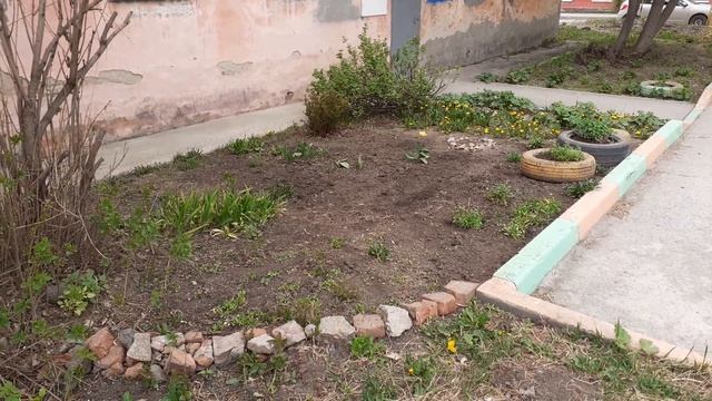 Классное деревце. смотреть онлайн