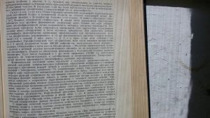 Тупая постоянная ноющая боль в почках (поясниице) грозный пиелонефрит, что делать болят почки?