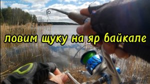 рыбалка на щуку яр Байкал
