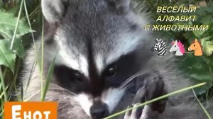 Алфавит с животными/УЧИМ БУКВЫ И ЗВУКИ/Развивающий мультик для детей