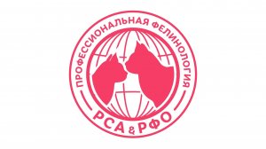 Иностранные фелинологические организации и их влияние в РФ