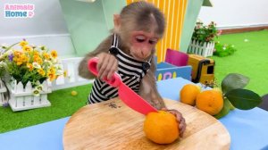 BiBi takes Ody cat to harvest fruit then make fruit yogurt