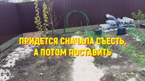 67. Краснодарский край. Купили цемент и цветы получили новую грядку.