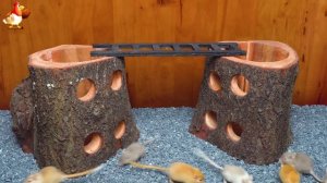 Видео для кошек про крысок развлекать питомцев 🐭🐀😂 (519)