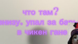 упал за барьер-уничтожителя в чикен гане! что там за барьером?