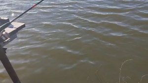 1000046104.mp4