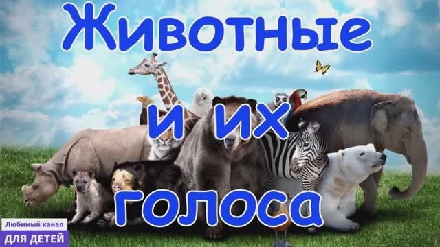 Мультики про животных - Как говорят животные - Мультики для детей