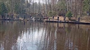Обзор поимок после запуска на спорт зоне. Клёвое место лосиный остров