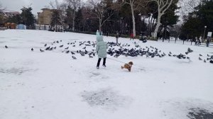 Зимний пейзаж в парке, где люди гуляют, несмотря на снег