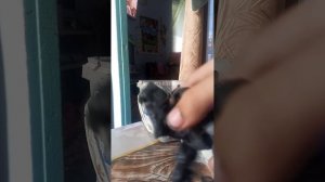 izoleut 1сезон 10 серия
