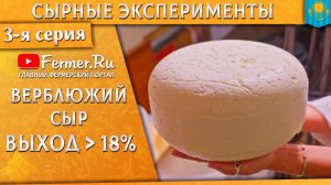 🐎🐫🧀Сыр из кобыльего молока. Почему калье не утонуло? Верблюжий сыр - выход 18.7% Казахстан Часть3
