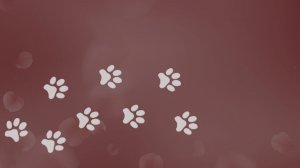 Кошки из Цветочной Страны