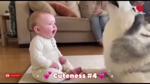 Милые забавные моменты с щенками.