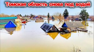 Паводок в Томской области❗ Людей вывозят на тракторах❗ Сёла уходят под воду❗ Уровень воды растёт❗ ЧС