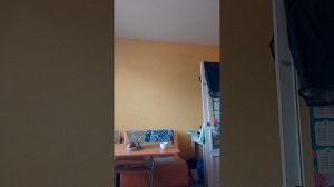 Кофе