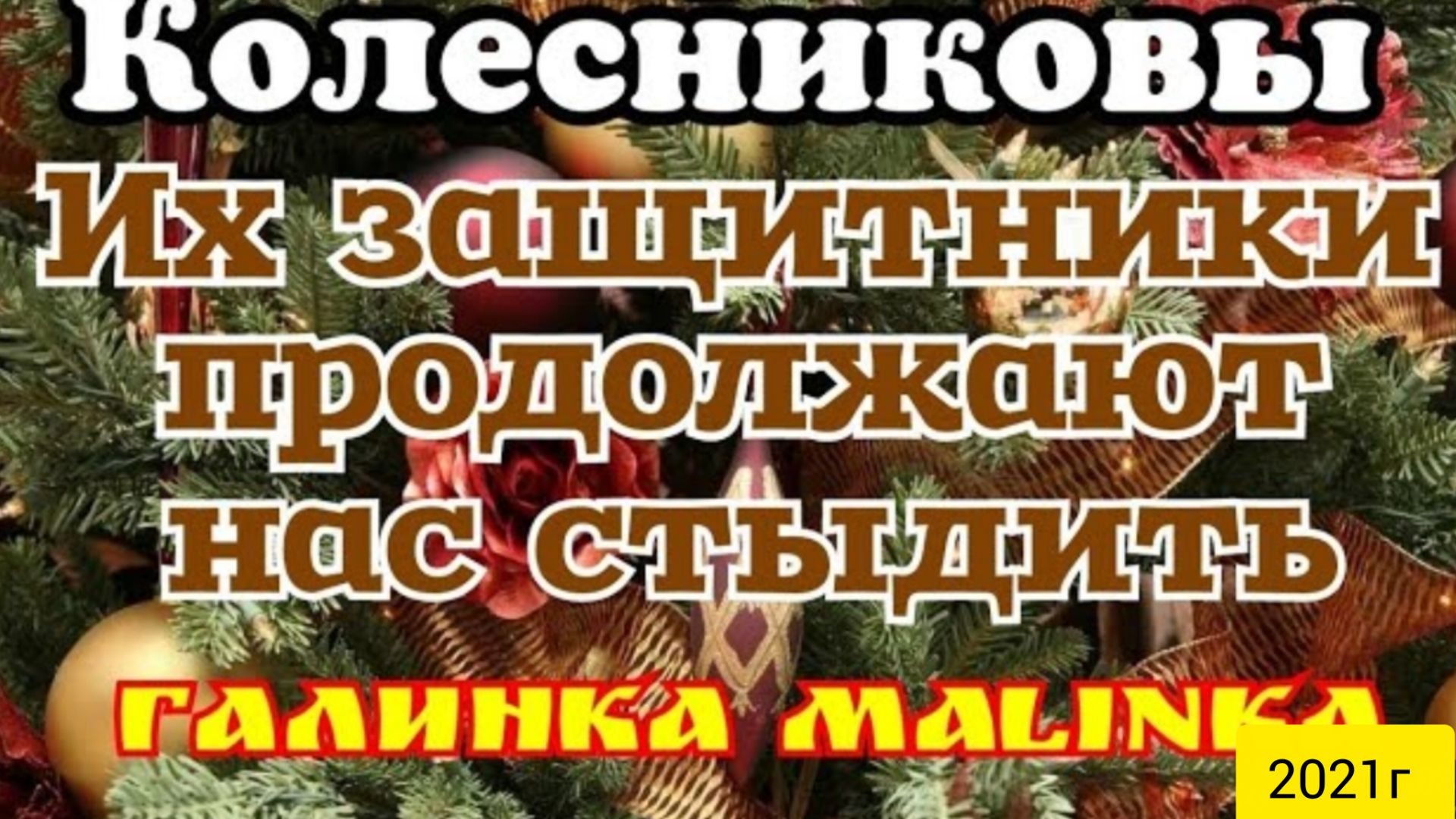 Колесниковы _Обзор Влогов _Их защитники продолжают нас стыдить __