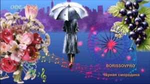 BORISSOVPRO - Чёрная смородина