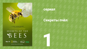 Секреты пчёл 1 серия (документальный сериал, 2026)