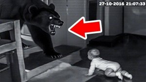 Животные, Которые Пришли К Людям Без Спроса