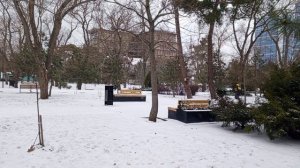 Заснеженный парк
