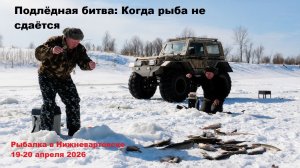 Рыбалка в Нижневартовске 19-20 апреля 2026