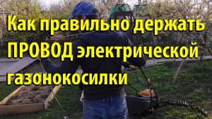 Как правильно держать провод электрической газонокосилки