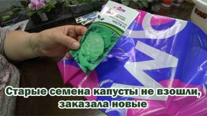 Обзор покупок с маркетплейсов: провод электрический, семена разных видов капусты, мешки для пылесоса