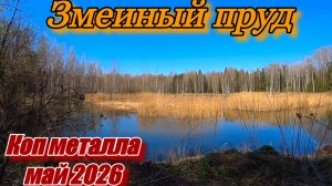 МАЙ 2026. ЗМЕИНЫЙ ПРУД. КОП МЕТАЛЛА