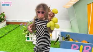 Smart BiBi harvests fruits to make fruit yogurt for Ody