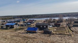 Где гуси? 03.05.26