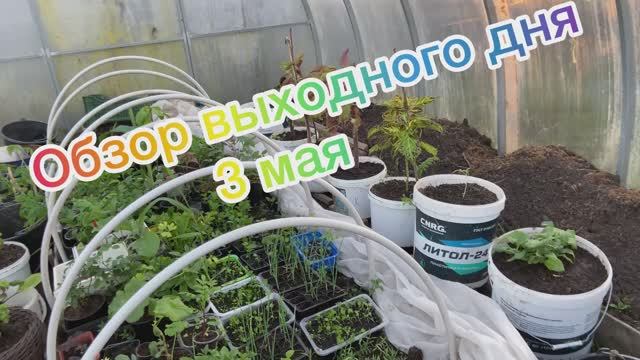 Обзор выходного дня 03.05.26